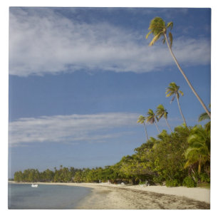 Strand und Palmen, Plantation Island Resort Fliese