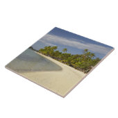 Strand und Palmen, Plantation Island Resort Fliese (Seite)