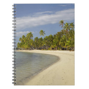Strand und Palmen, Plantation Island Resort Notizblock