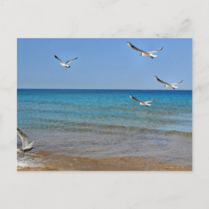 Strand und Seagulls Feiertagspostkarte