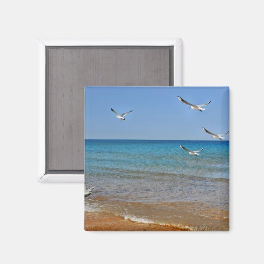Strand und Seagulls Magnet (Vorderseite/Rückseite)