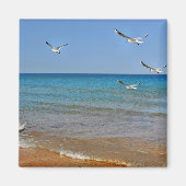 Strand und Seagulls Magnet (Vorne)