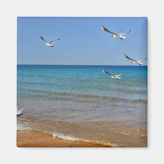 Strand und Seagulls Magnet (Vorne)
