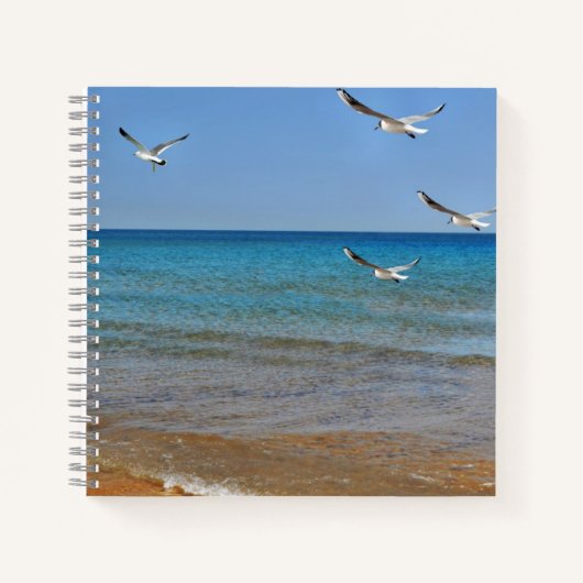 Strand und Seagulls Notizblock (Vorderseite)