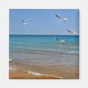 Strand und Seemöwen Magnet