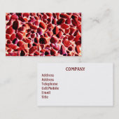 STRAND VISITENKARTE (Vorne/Hinten)