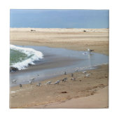Strand-Vögel Fliese (Vorderseite)