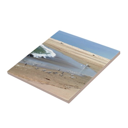Strand-Vögel Fliese (Seite)