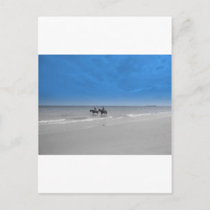 Strand von Bamburgh Postkarte