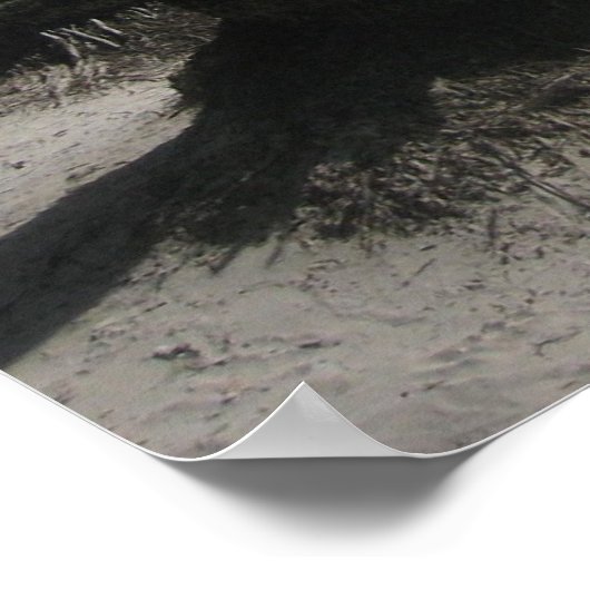 Strand von Boracay Poster (Ecke)