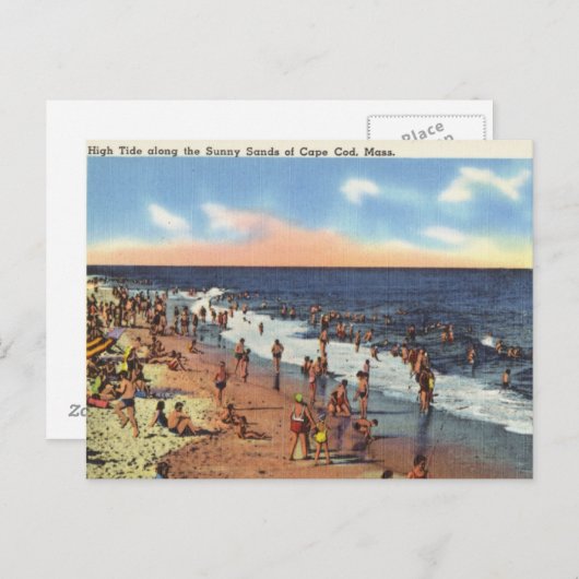 Strand von Cape Cod Postkarte (Vorne/Hinten)