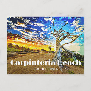 Strand von Carpinteria Postkarte