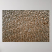 Strand von Daytona Poster (Vorne)