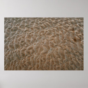 Strand von Daytona Poster