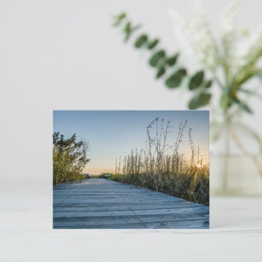 Strand von Edisto, South Carolina Postkarte (Stehend Vorderseite)