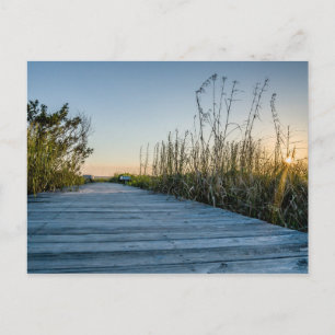 Strand von Edisto, South Carolina Postkarte