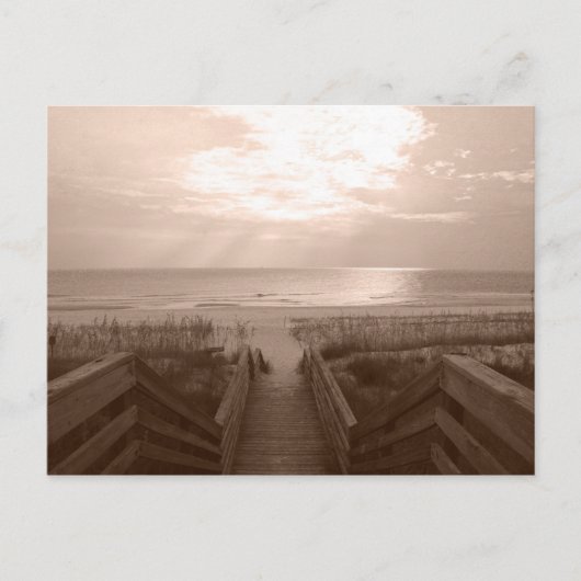 Strand von Florida Postkarte (Vorderseite)