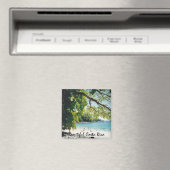 Strand von Manuel Antonio Magnet (In Situ (Geschirrspüler))