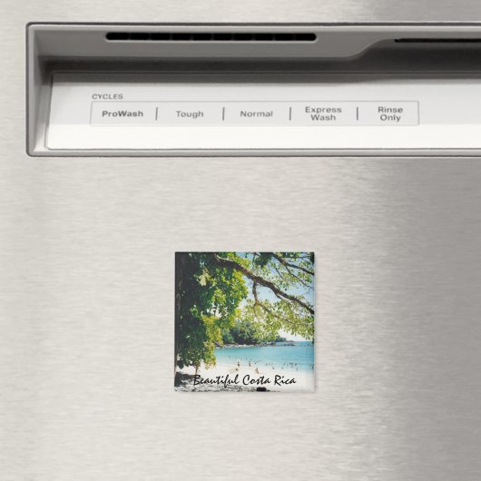 Strand von Manuel Antonio Magnet (In Situ (Geschirrspüler))