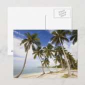 Strand von Punta Cana Postkarte (Vorne/Hinten)