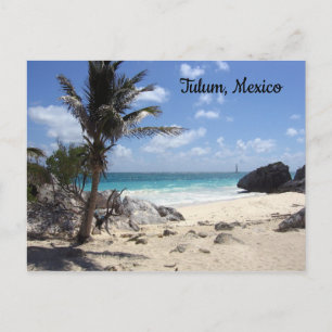 Strand von Tulum, Mexiko - Urlaub - Sonne - Postka Postkarte
