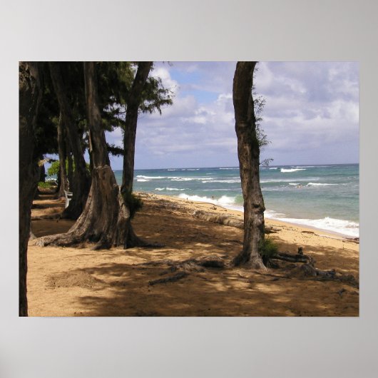 Strand, Wailua, Kauai Poster (Vorne)
