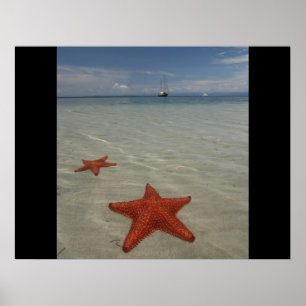 Strand Wasser Meer Ozean Stern Fisch Sand personal Poster