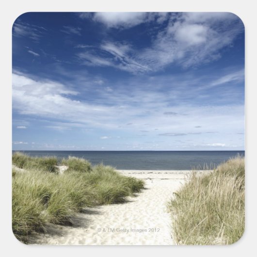 Strand, Welfleet MA Quadratischer Aufkleber (Vorderseite)