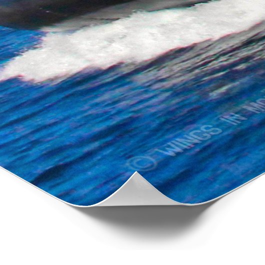 STRANDASSAULT - LCAC-31 POSTER (Ecke)