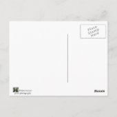 Strandausstattung Postkarte (Rückseite)