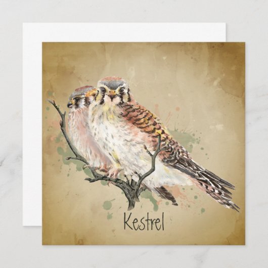 Strandbad Lido di Lugano (Vorne/Hinten)