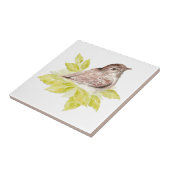 Strandbad Lido di Lugano Fliese (Seite)