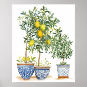 Strandbad Lido di Lugano Poster (Vorne)