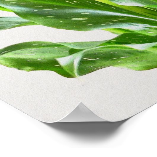 Strandbad Lily Blume Lugano Unexpected Classic Tou Poster (Ecke)