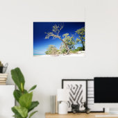 Strandbaum Poster (Heimbüro)