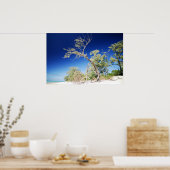 Strandbaum Poster (Küche)