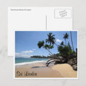 Strandbaum Postkarte (Vorne/Hinten)