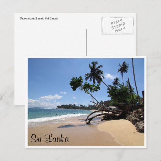 Strandbaum Postkarte (Vorne/Hinten)