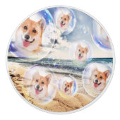 StrandCorgis Keramikknauf (Vorderseite)