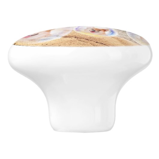 StrandCorgis Keramikknauf (Seitenansicht)