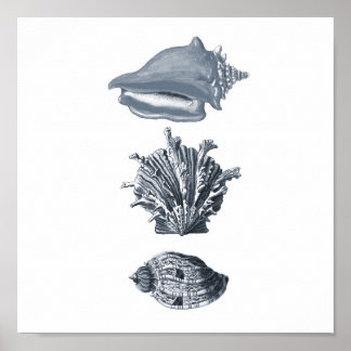 Stranddekoration mit grauen Muscheln #8 Poster