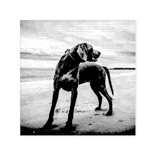 Strande auf Weimaraner Permastempel (Design)