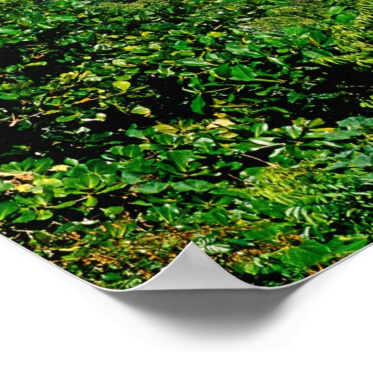 Strände, Barahona, Dominikanische Republik, Poster (Ecke)