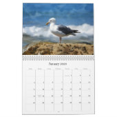 Strände und Ozeane Fotografischer Kunstkalender Kalender (Jan 2026)