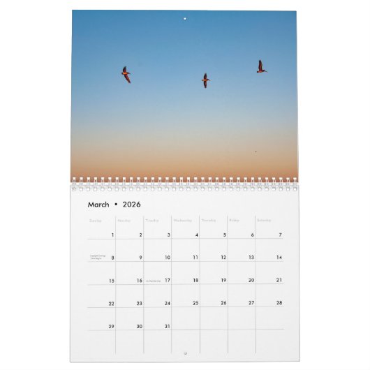 Strände, Vögel u. Hunde auf Hilton Head Island Kalender (Mär 2026)