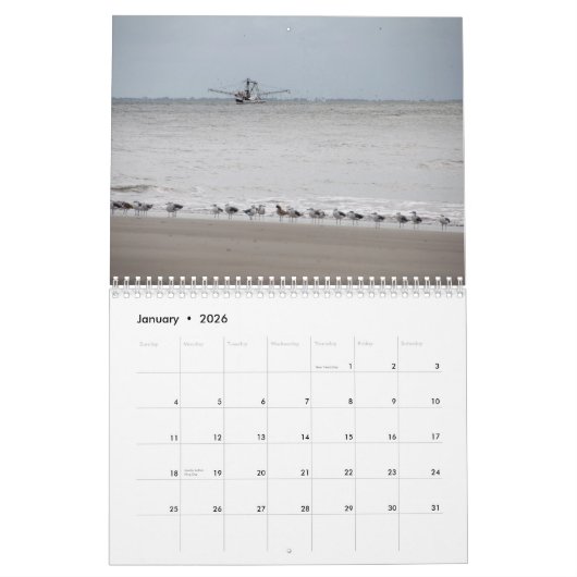 Strände, Vögel u. Hunde auf Hilton Head Island Kalender (Jan 2026)