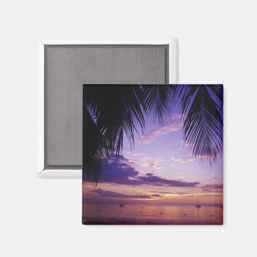 Strände von Negril, Jamaika 2 Magnet (Vorderseite/Rückseite)