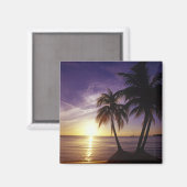 Strände von Negril, Jamaika 3 Magnet (Vorderseite/Rückseite)