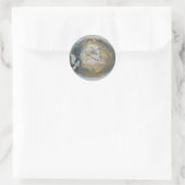 Stranded Jellyfish Series Coordinating Iems Runder Aufkleber (Tasche)