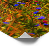 Stranded Poster (Ecke)